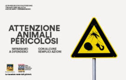 Campagna comunicazione Arbovirosi 2025