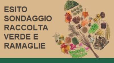 verde e ramaglie.jpg